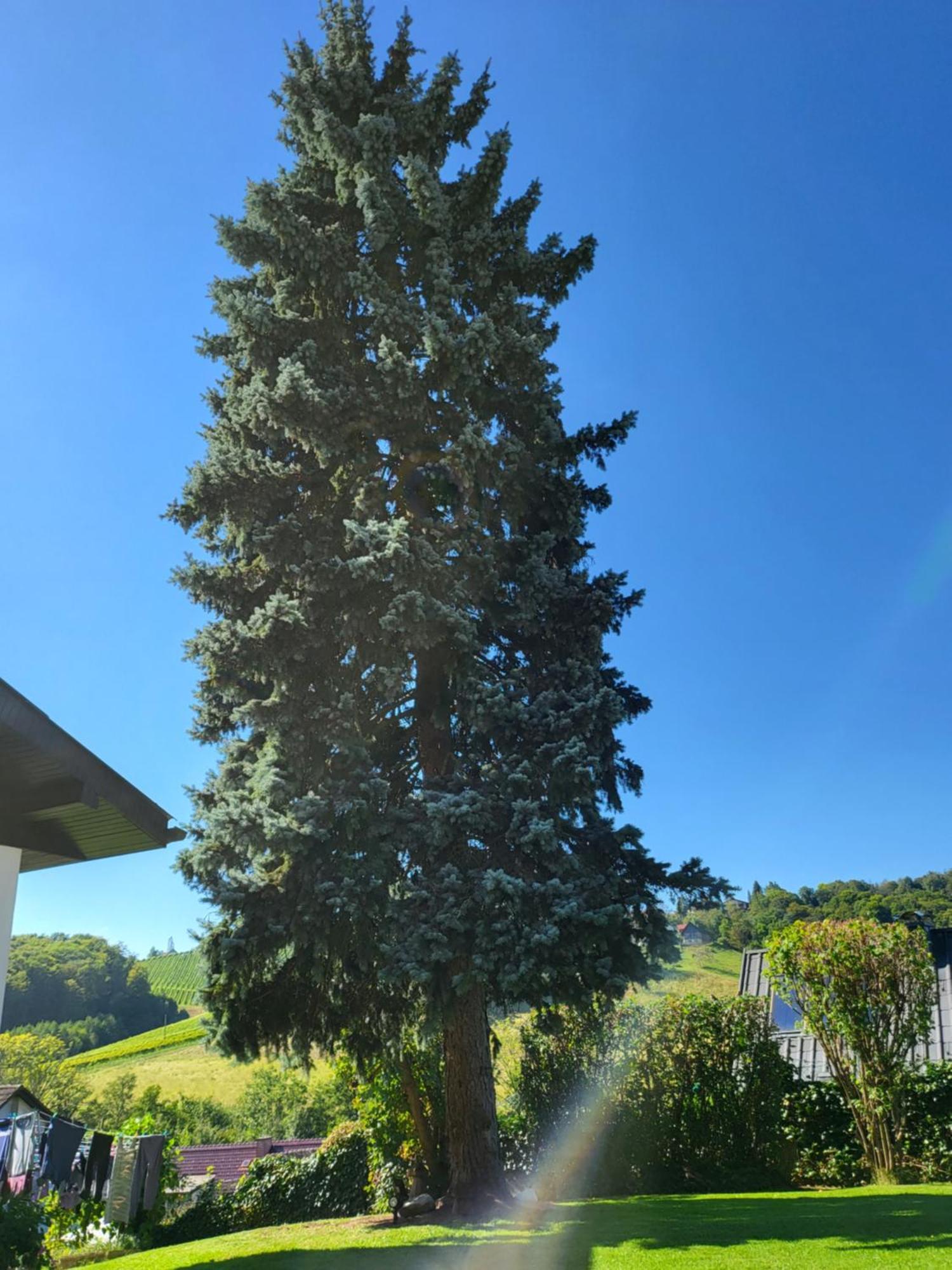 Ferienhaus Zangl Am Seggauberg - Suedsteiermark Leibnitz Exterior foto